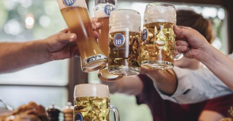 oktoberfest in erfurt im Hofbräu am Dom 